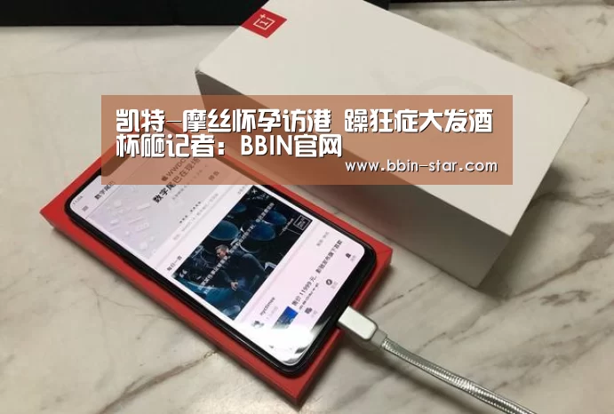 BBIN入口