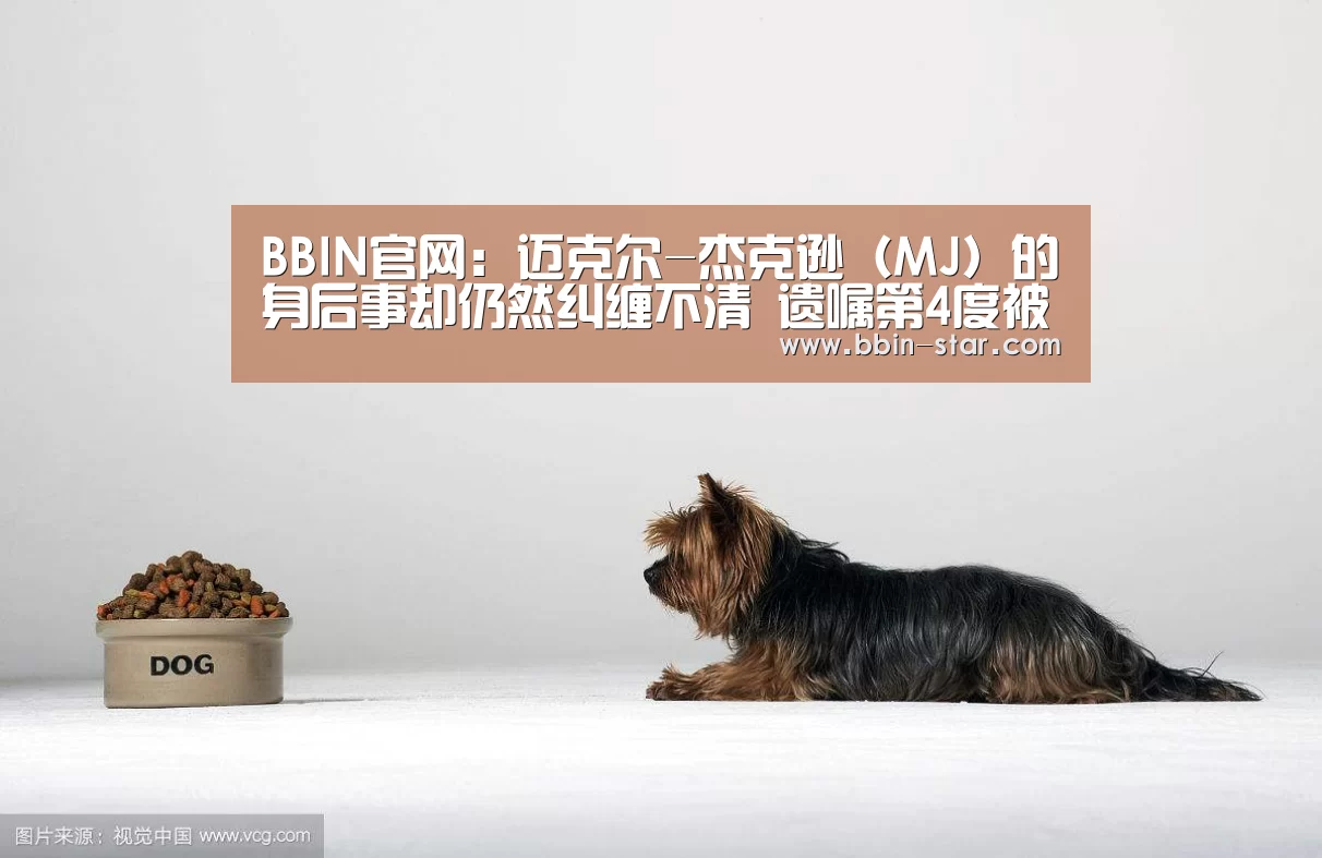 BBIN国际厅