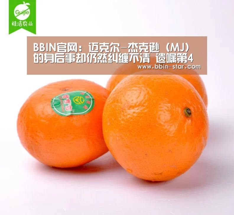 BBIN登录