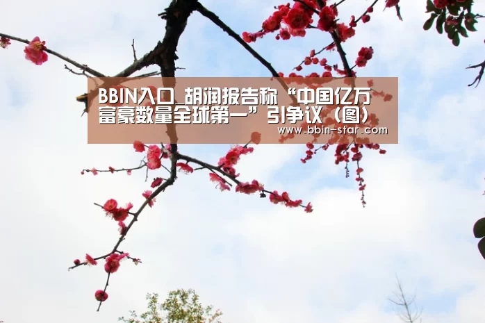 BBIN入口
