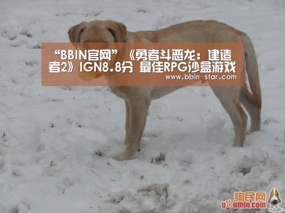 BBIN入口
