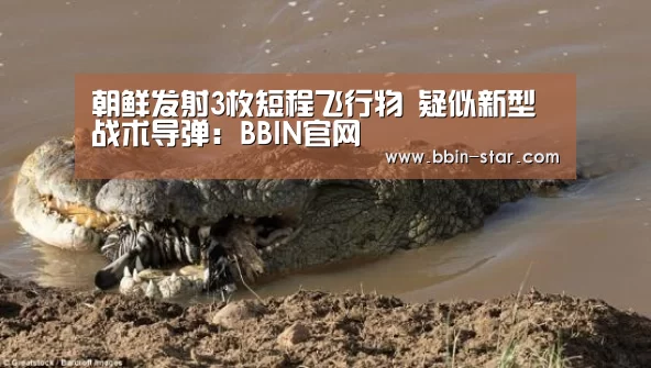 朝鲜发射3枚短程飞行物 疑似新型战术导弹:BBIN官网(图1) BBIN官网