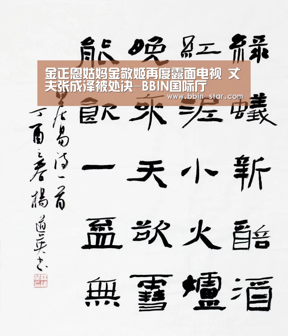 金正恩姑妈金敬姬再度露面电视 丈夫张成泽被处决-BBIN国际厅(图2) BBIN登录